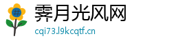 霁月光风网